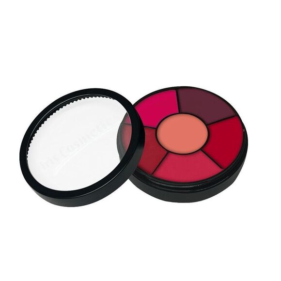 Iris Cosmetics Lipstick Wheel - Picture 3 of 4